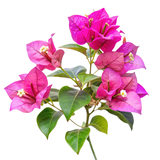 Maravillas y calamidades